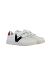 Basket  1124104, Victoria 3