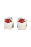 Basket  1124104, Victoria 4