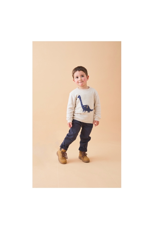 Pull En Tricot, Dino, Noukie's