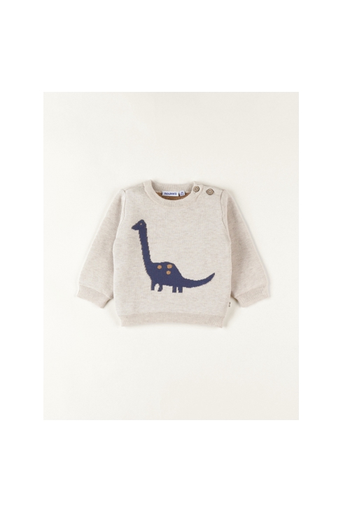 Pull En Tricot, Dino, Noukie's