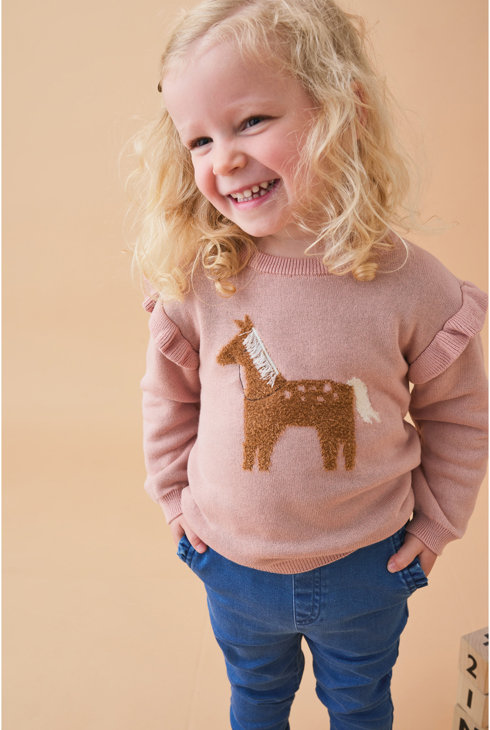 Pull En Tricot, Cheval, Noukie's