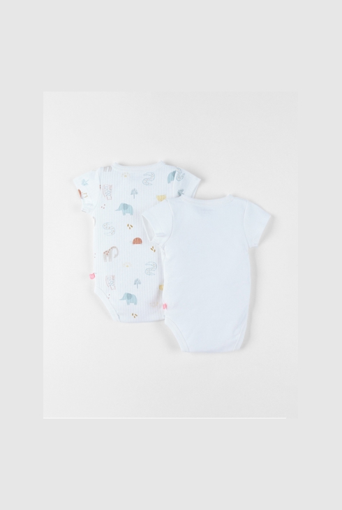 Lot De 2 Bodys, Coton, Noukie's