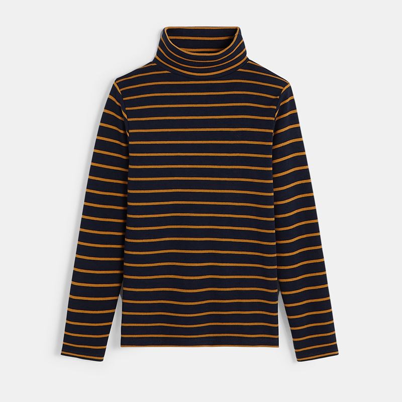 black and yellow striped turtleneck