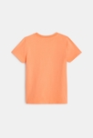 Camiseta Z rosa mixta 3