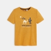 T-shirt coton flammé Afrique