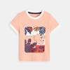 T-shirt rayé dinosaure orange bébé garçon