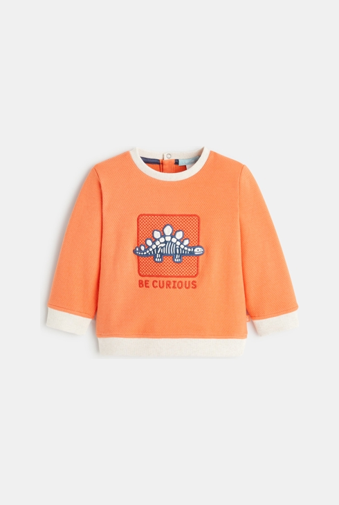 Sweatshirt aus modischem Strickgewebe Dinosaurier Orange Baby Jungen 1