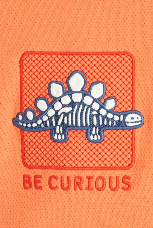 Sweat maille fantaisie dinosaure orange bébé garçon