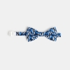 Nœud papillon