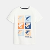 T-shirt à motifs requins blanc garçon