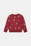 Sweat-shirt imprimé rouge Garçon