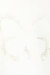 T-shirt col roulé motif papillon blanc Fille 2