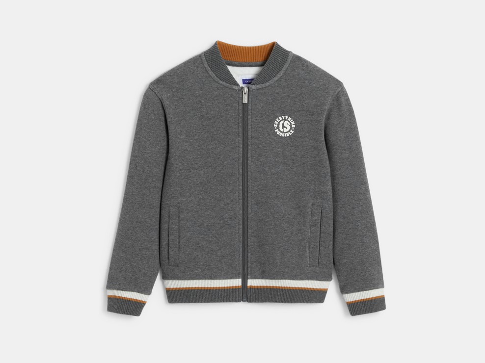 Sweat teddy zippé gris Garçon 1