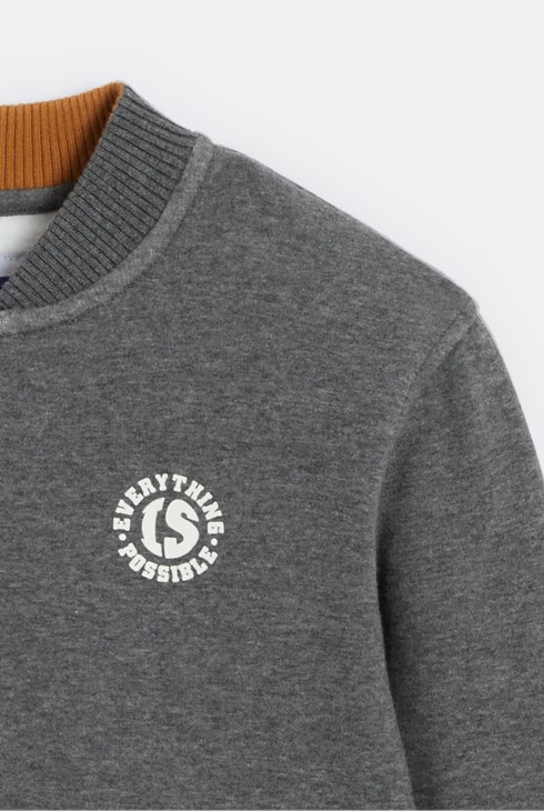 Sweat teddy zippé gris Garçon 2