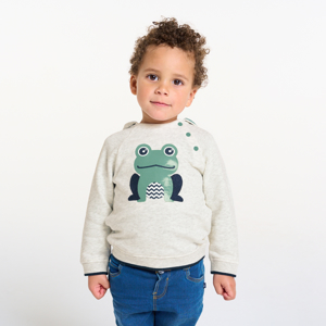 Sweat à capuche molleton grenouille gris bébé garçon 1