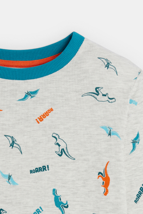 2-teiliger Pyjama mit Dinosauriermotiven Grau Jungen