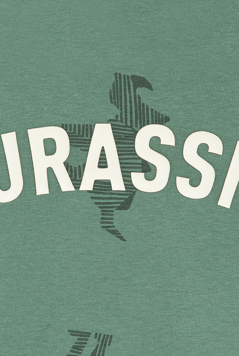 Grünes Sweatshirt mit Dinosaurier-Druck Jungen