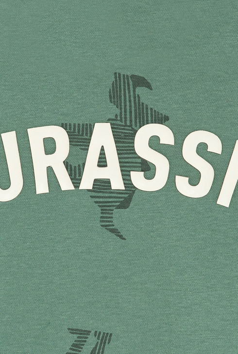 Grünes Sweatshirt mit Dinosaurier-Druck Jungen 2