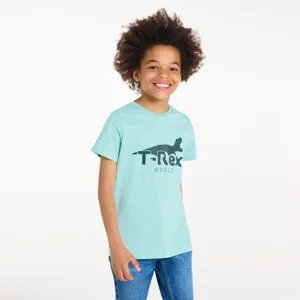 Boy's blue dinosaur motif T-shirt 1