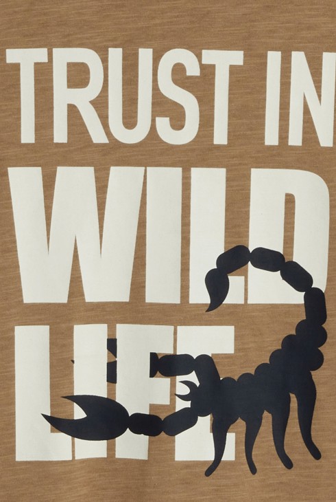 T-shirt scorpion manches courtes marron Garçon 2