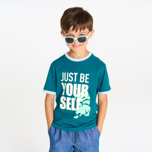 Boy's blue short-sleeve tiger T-shirt 1