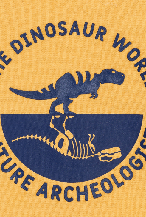 Gelbes Sweatshirt mit Dinosauriermotiv Jungen