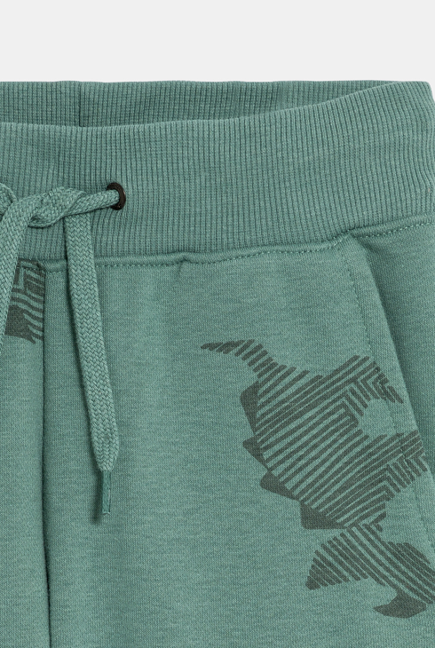 Mit Dinosaurier-Motiven bedruckte grüne Jogginghose Jungen