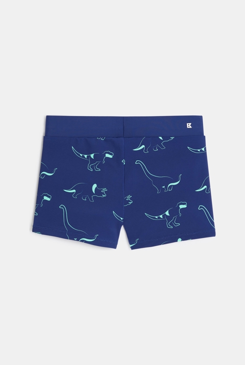 Bade-Boxershorts in Blau mit Dinosauriermotiven für Jungen 2