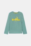 T-shirt manches longues motif dinosaure vert Garçon