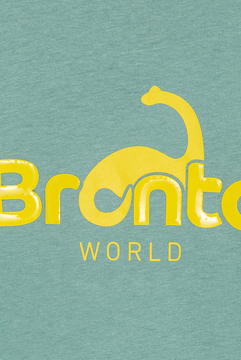 Grünes Langarm-T-Shirt mit Dinosauriermotiv Jungen