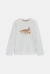 T-shirt manches longues motif dinosaure gris Garçon