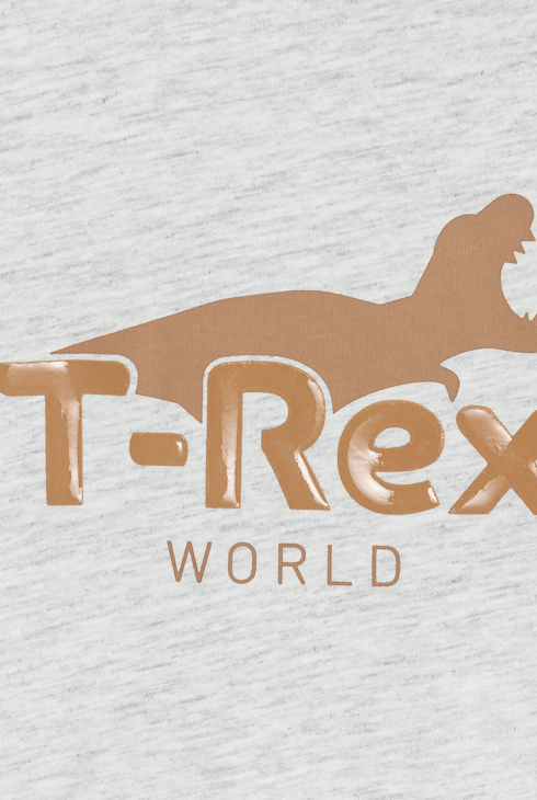 Graues Langarm-T-Shirt mit Dinosauriermotiv Jungen
