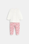 Pijama punto jersey erizo flores blanco bebé niña 4