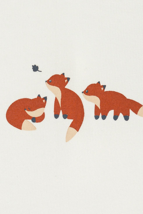 Baby boy's brown fox bodysuit (set of 3) 2