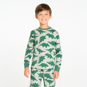 Pyjama 2 pièces motif dinosaures vert Garçon 1