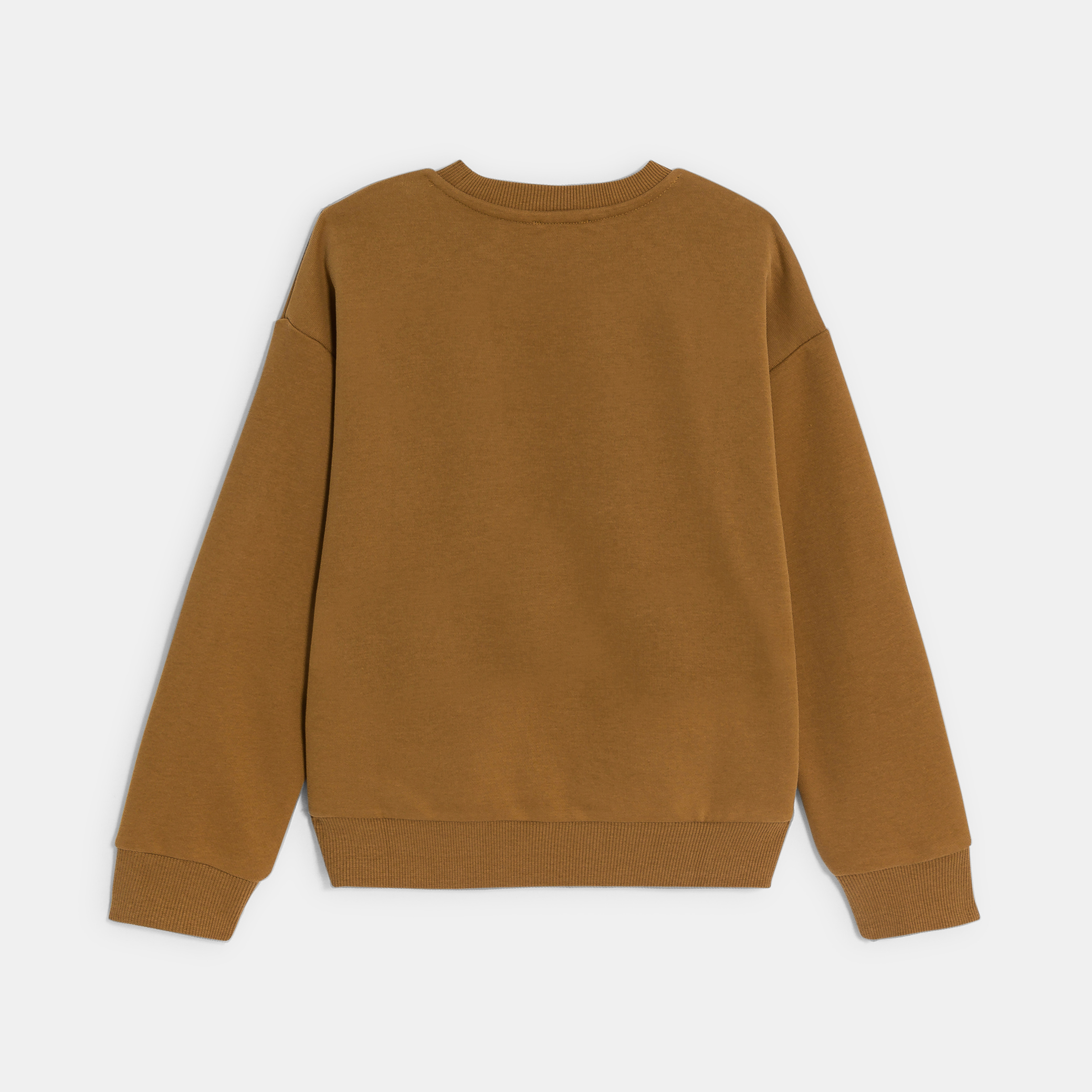 Boy's brown dinosaur motif sweatshirt Okaïdi & Obaïbi