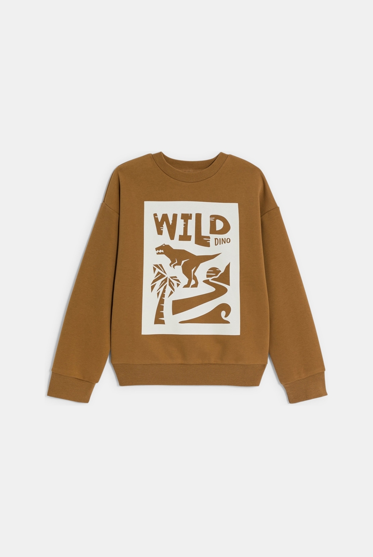 Sweat-shirt motif dinosaure marron Garçon 1