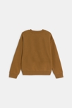 Sweat-shirt motif dinosaure marron Garçon 3