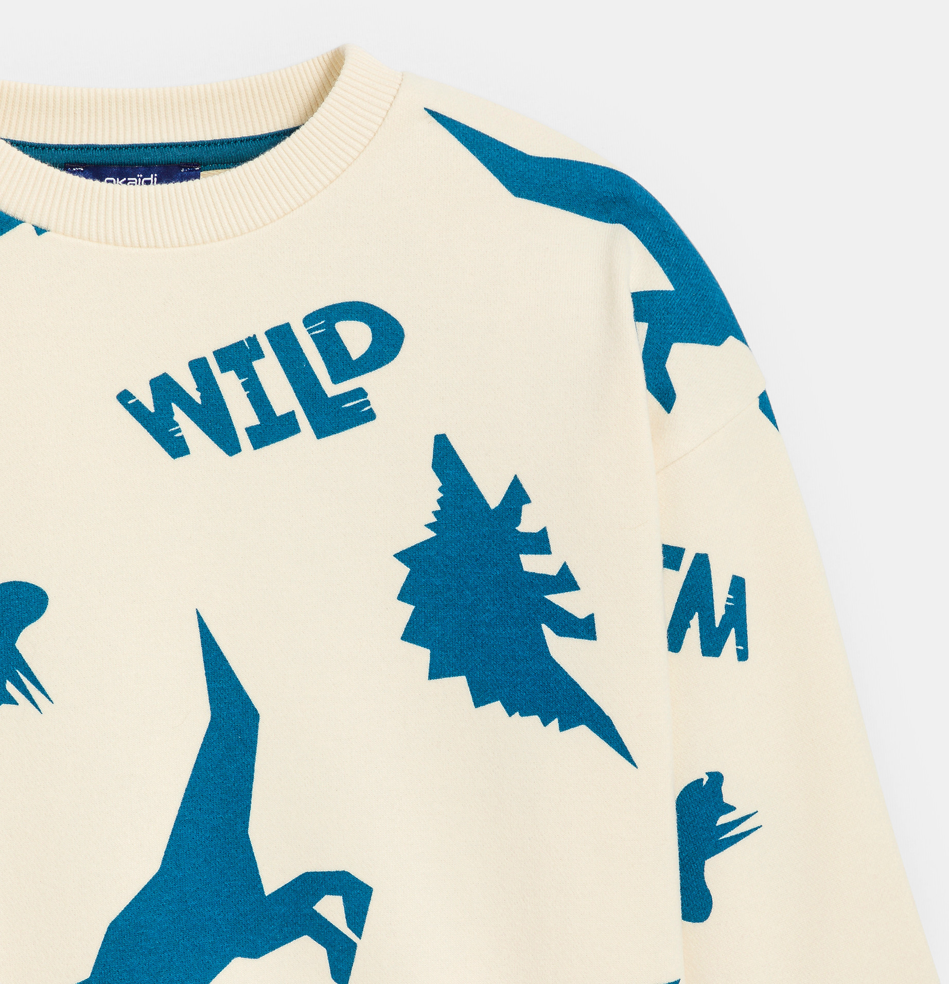 Boy's ecru dinosaur motif sweatshirt 2
