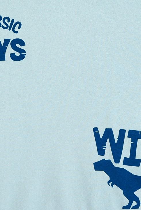 Felpa con motivo dinosauro blu bambino 2