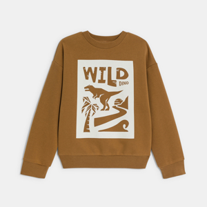 Bruin sweatshirt met dinosaurusmotief voor jongens 1