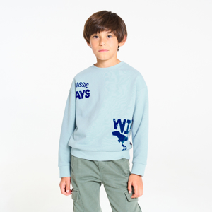 Blauw sweatshirt met dinosaurusmotief voor jongens 1