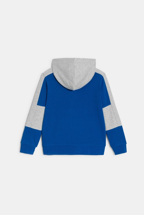 Sweat-shirt à capuche colorblock bleu Garçon 2