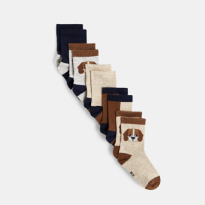 Chaussettes chiens bleu bébé garçon (lot de 5) 1