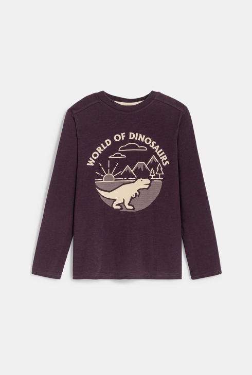 T-shirt motif dinosaure marron Garçon 1