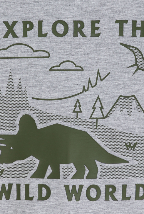 T-shirt motif dinosaure gris Garçon