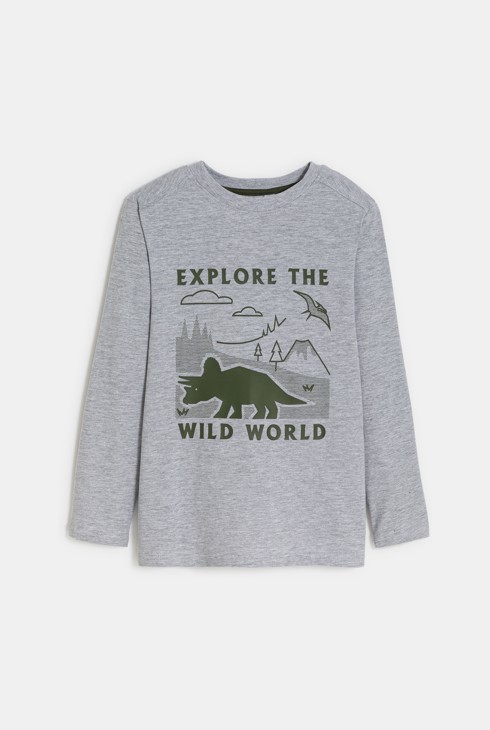 T-shirt motif dinosaure gris Garçon 1