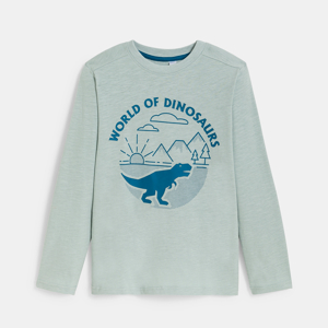 Blauw T-shirt met dinosaurusmotief voor jongens 1