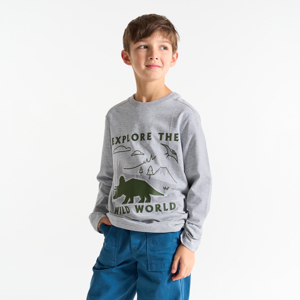 Graues T-Shirt mit Dinosauriermotiv für Jungen 1