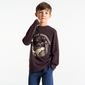 T-shirt motif dinosaure marron Garçon 1